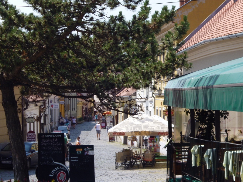 P1000252 (800x600).jpg