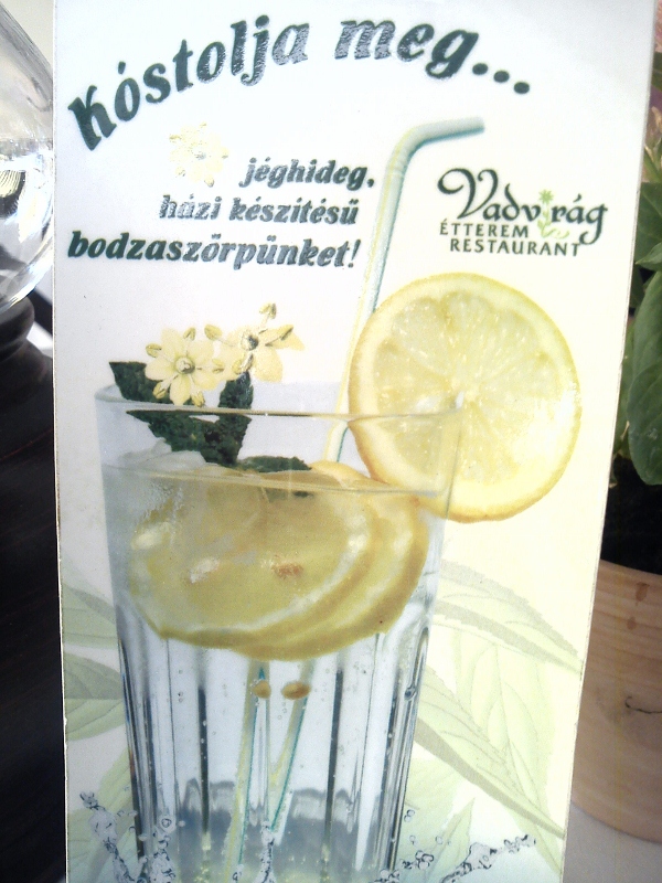 DSC00923 (600x800).jpg