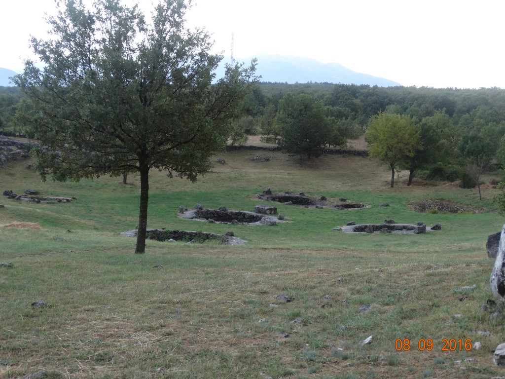 DSC01327 (Kopiowanie).JPG