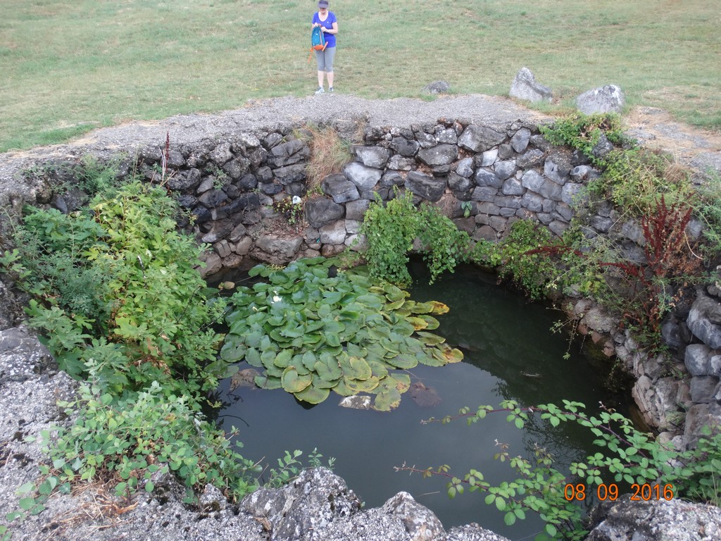 DSC01330 (Kopiowanie).JPG