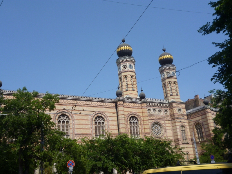 P1000491 (800x600).jpg