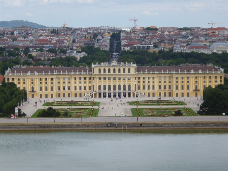 P1000685 (800x600).jpg