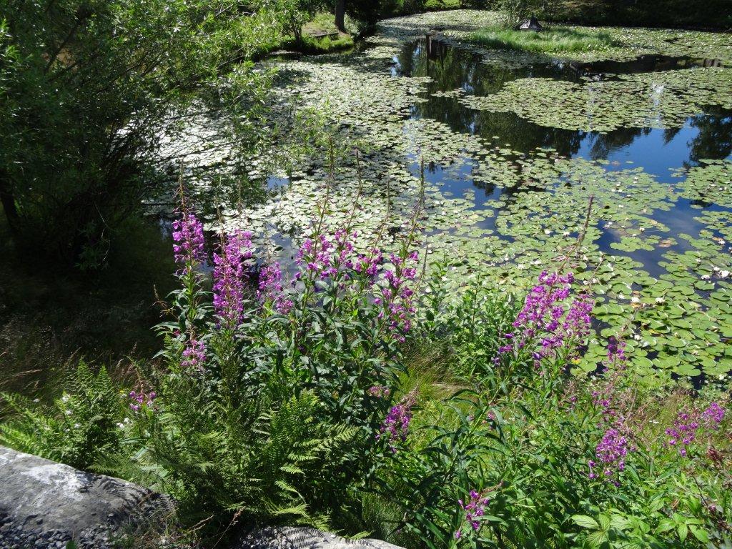 Norwegia cz.1 2467.jpg