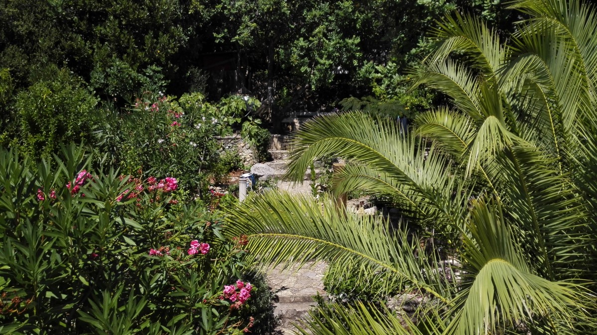 W ogrodzie na tyłach domu. / 04.jpg 04.jpg