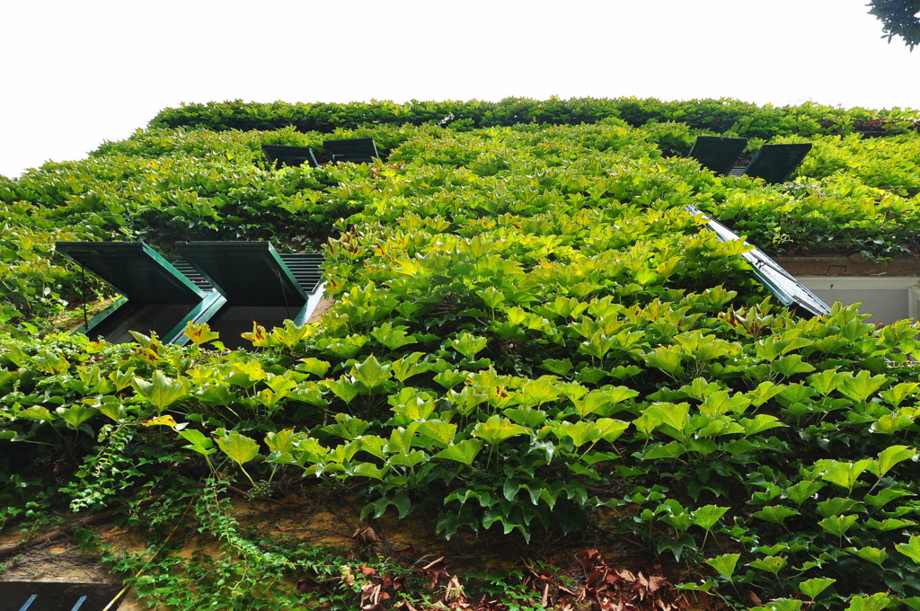 Wakacje2016 (271).JPG