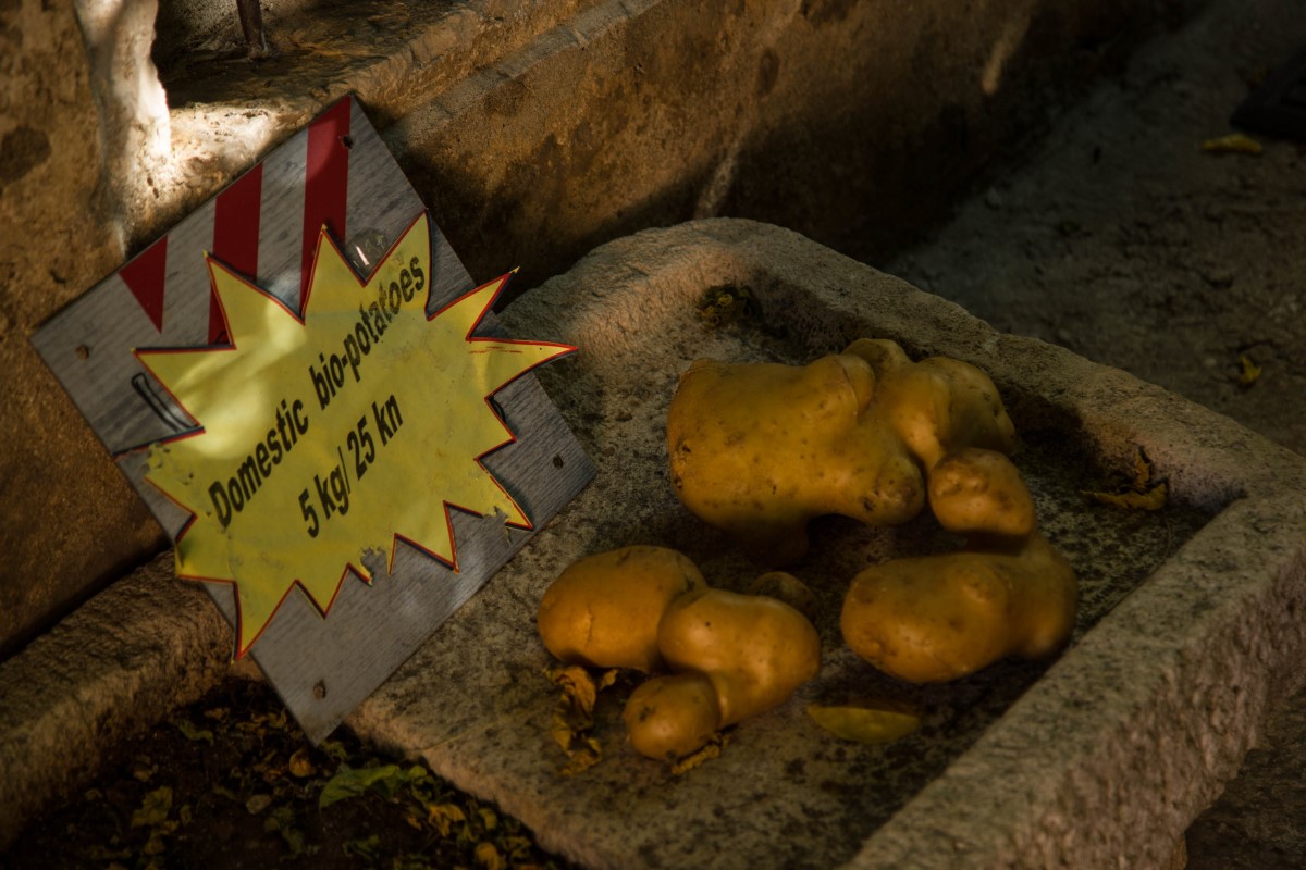 również do zakupienia w tawernie / IMG_5340.jpg IMG_5340.jpg