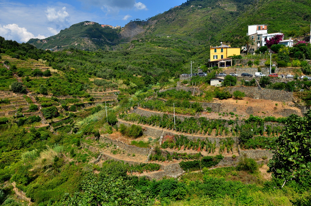 Wakacje2016 (512).JPG