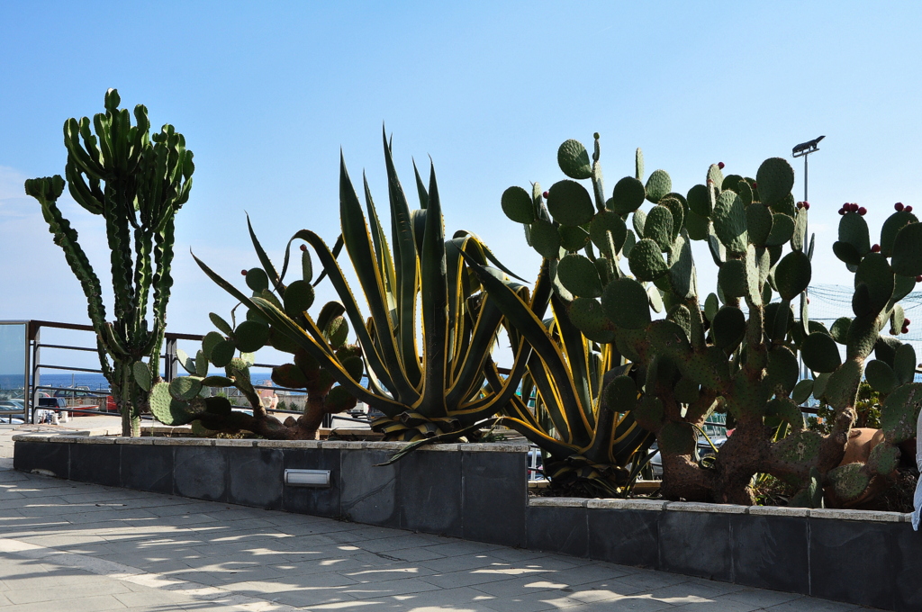 Wakacje2016 (581).JPG