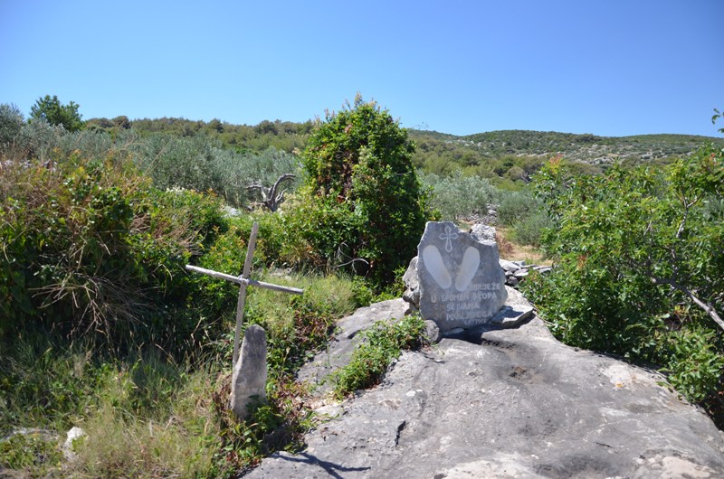 DSC_0515 Po drugiej stronie zatoki, gdzieś w górze przy drodze.JPG