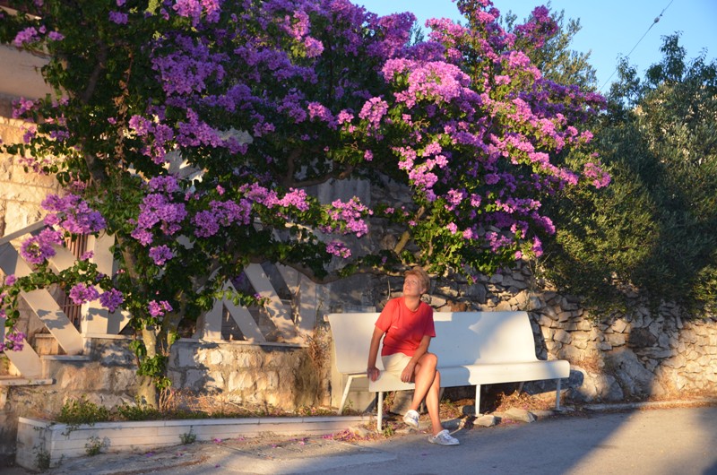 DSC_0538 Povlja - wśród bugenwilii.JPG