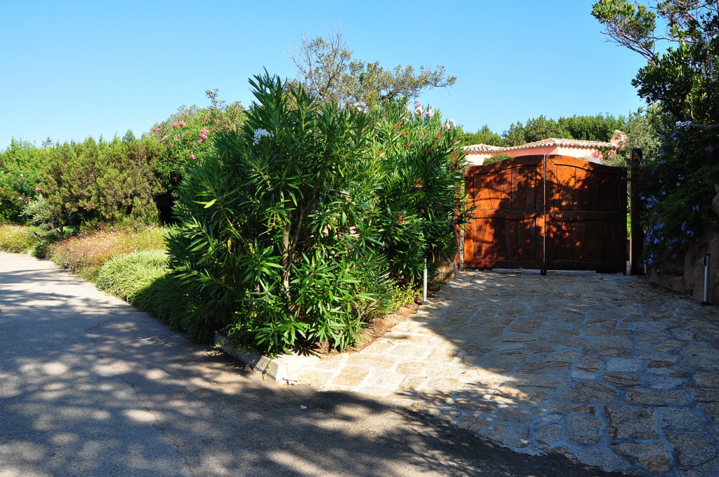 Wakacje2016 (661).JPG