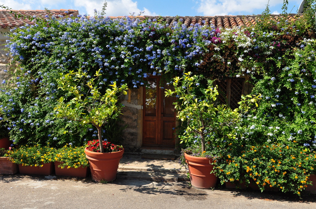 Wakacje2016 (686).JPG