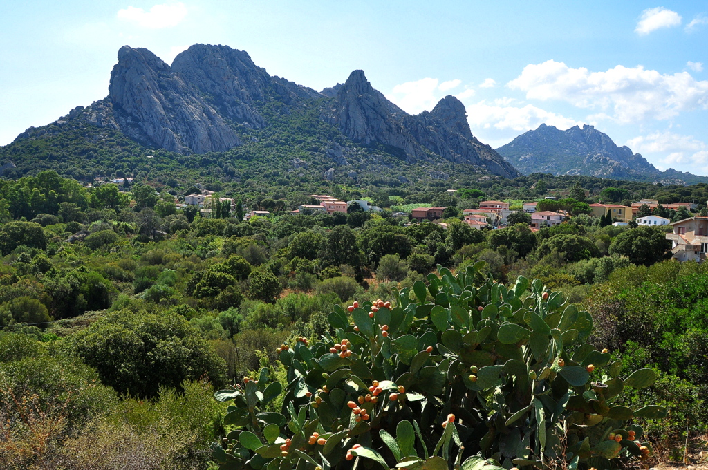 Wakacje2016 (692).JPG