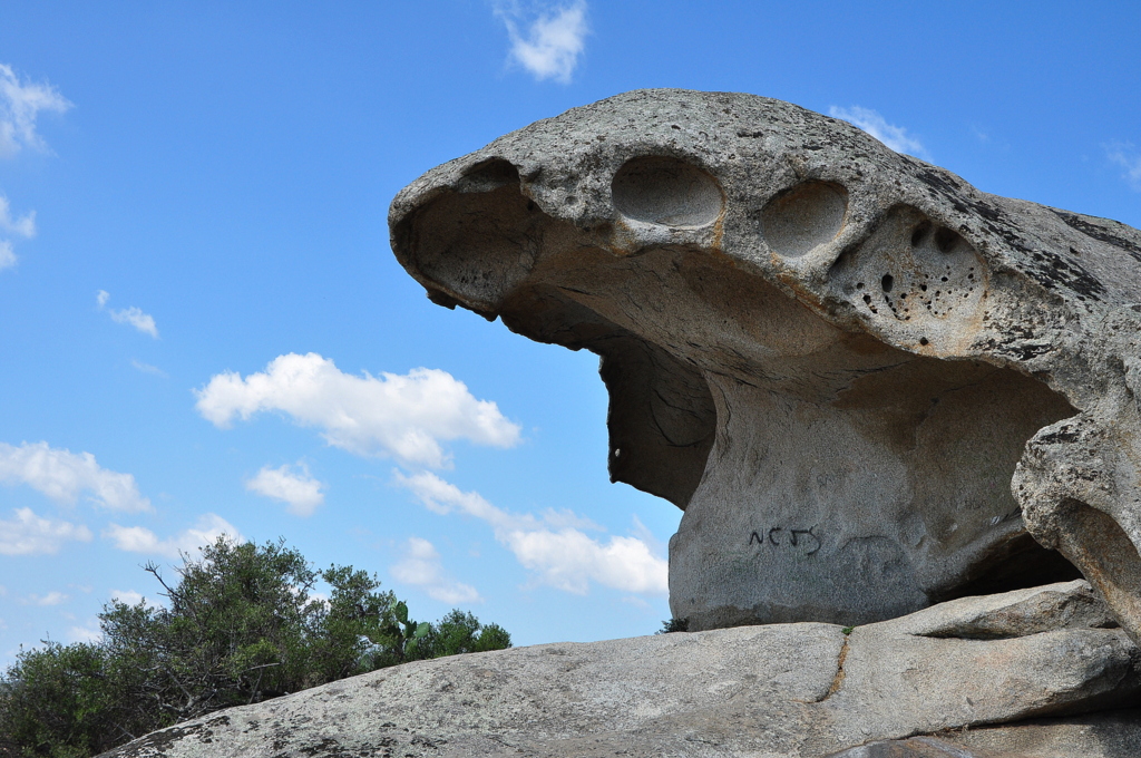 Wakacje2016 (700).JPG