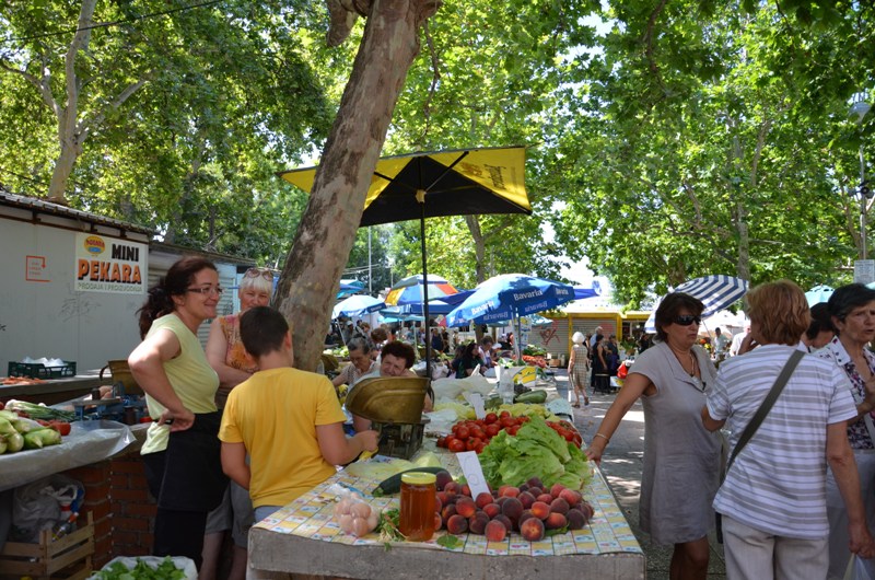 DSC_0678 Split - targ.JPG