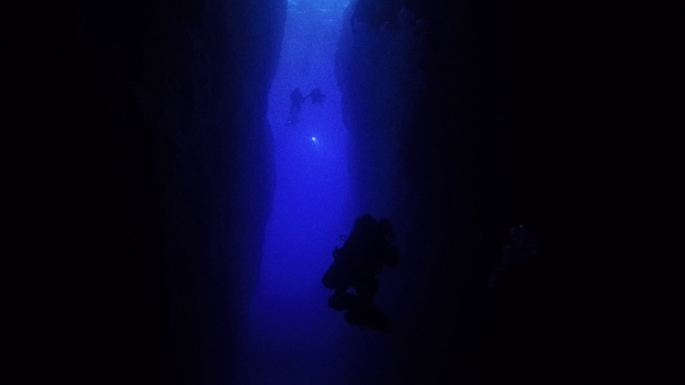 w drodze do Inland Sea - całą grupą.jpg