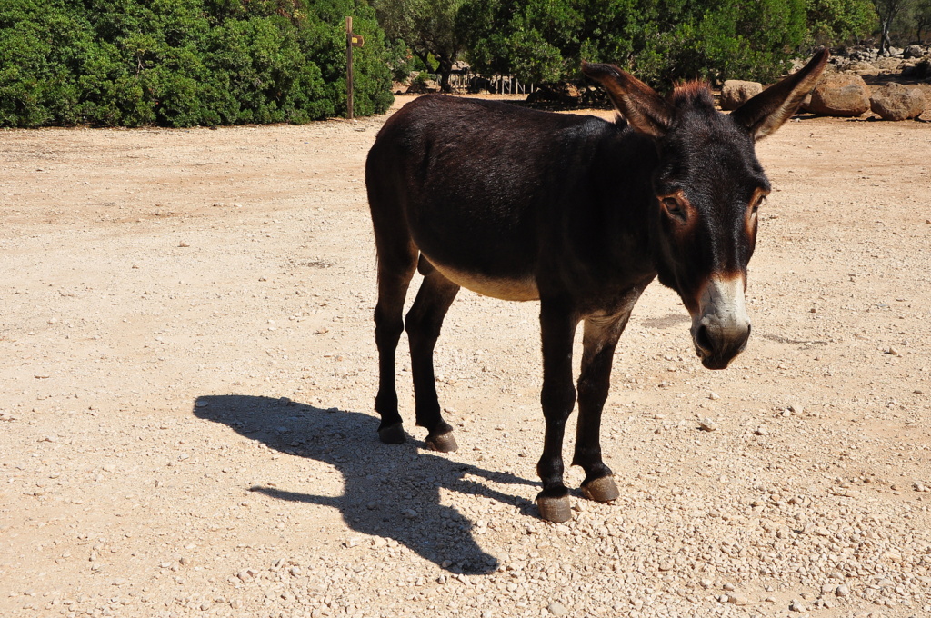 Wakacje2016 (860).JPG