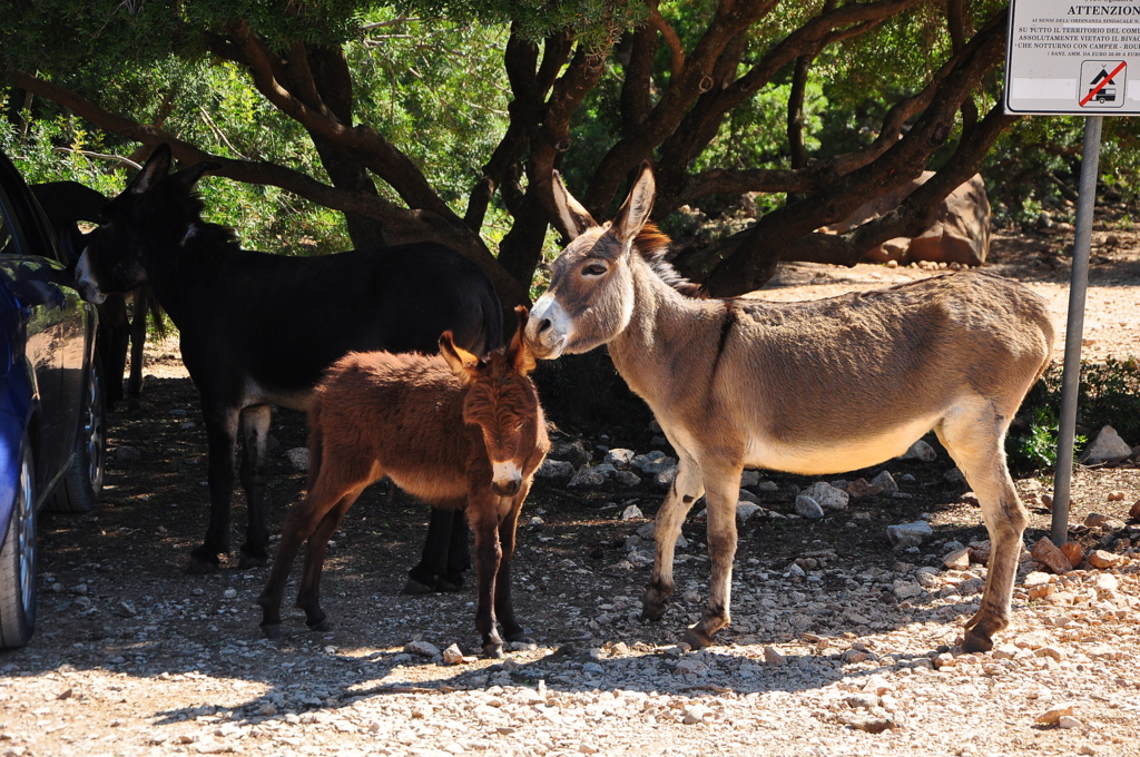 Wakacje2016 (865).JPG