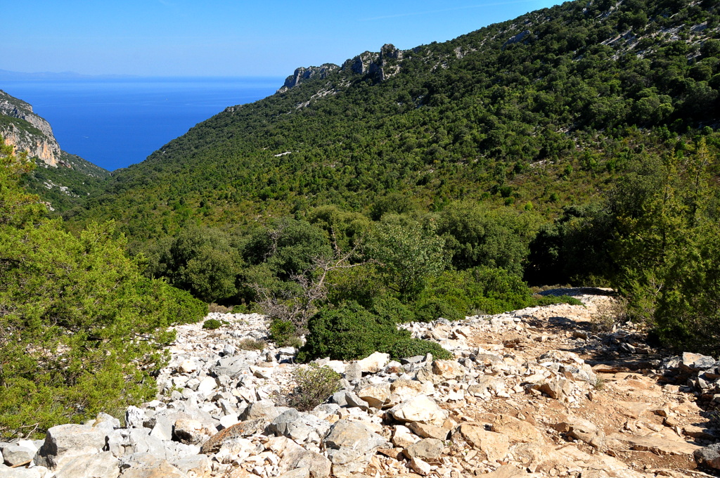 Wakacje2016 (871).JPG