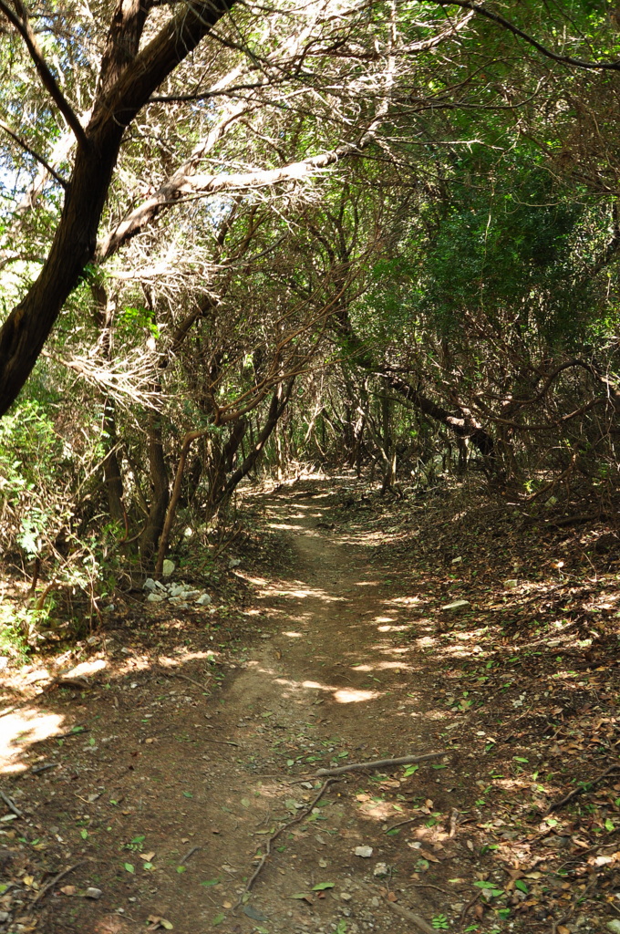 Wakacje2016 (887).JPG