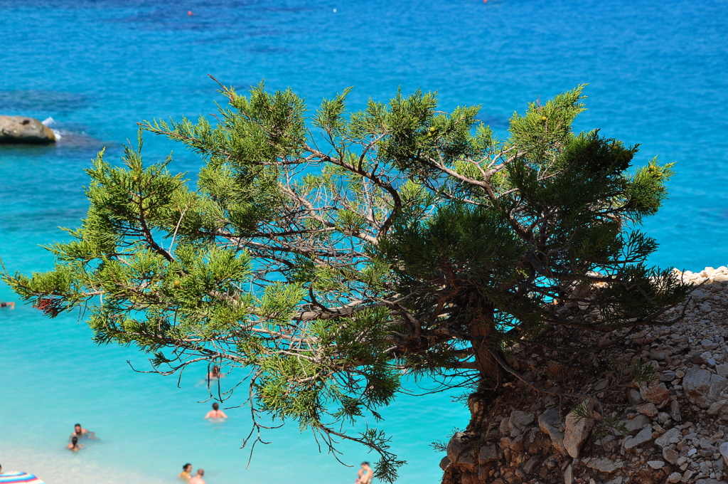 Wakacje2016 (930).JPG