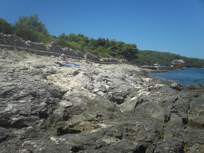 100_0793 (800x600).jpg