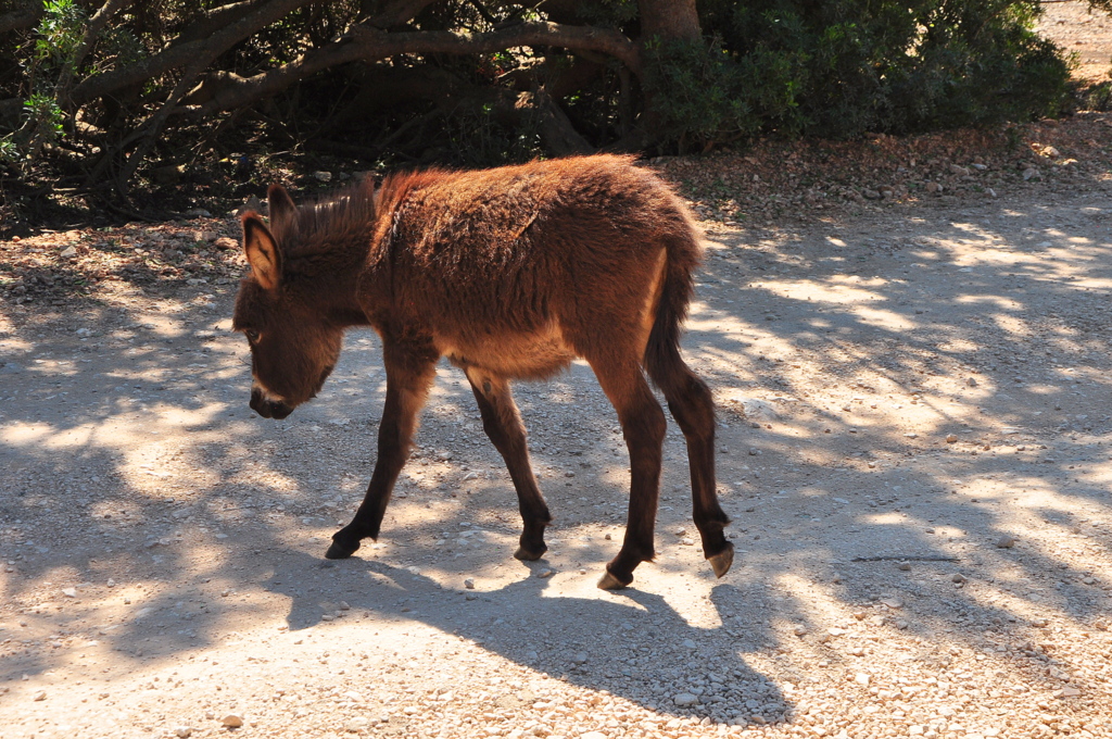 Wakacje2016 (947).JPG