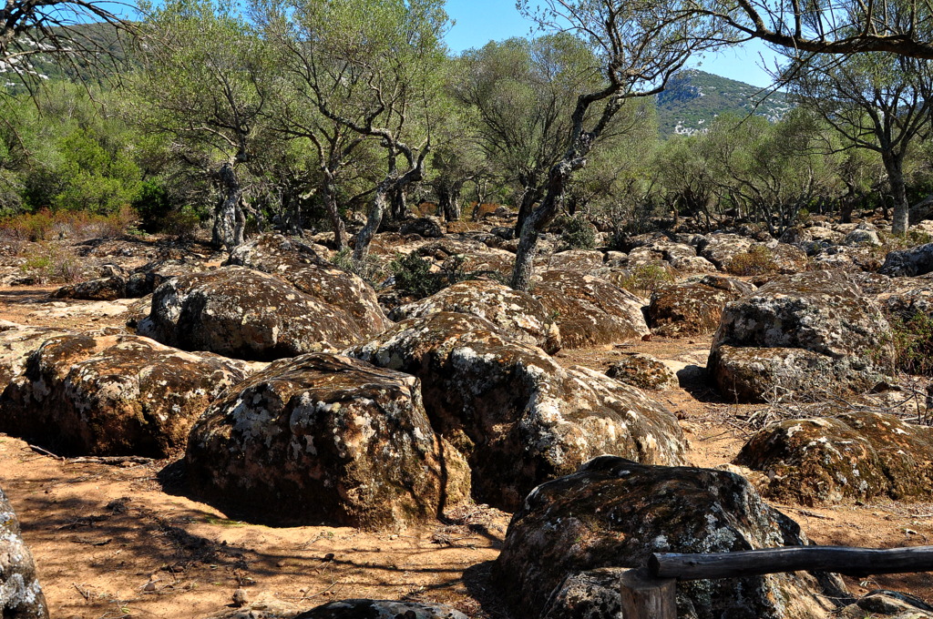 Wakacje2016 (972).JPG