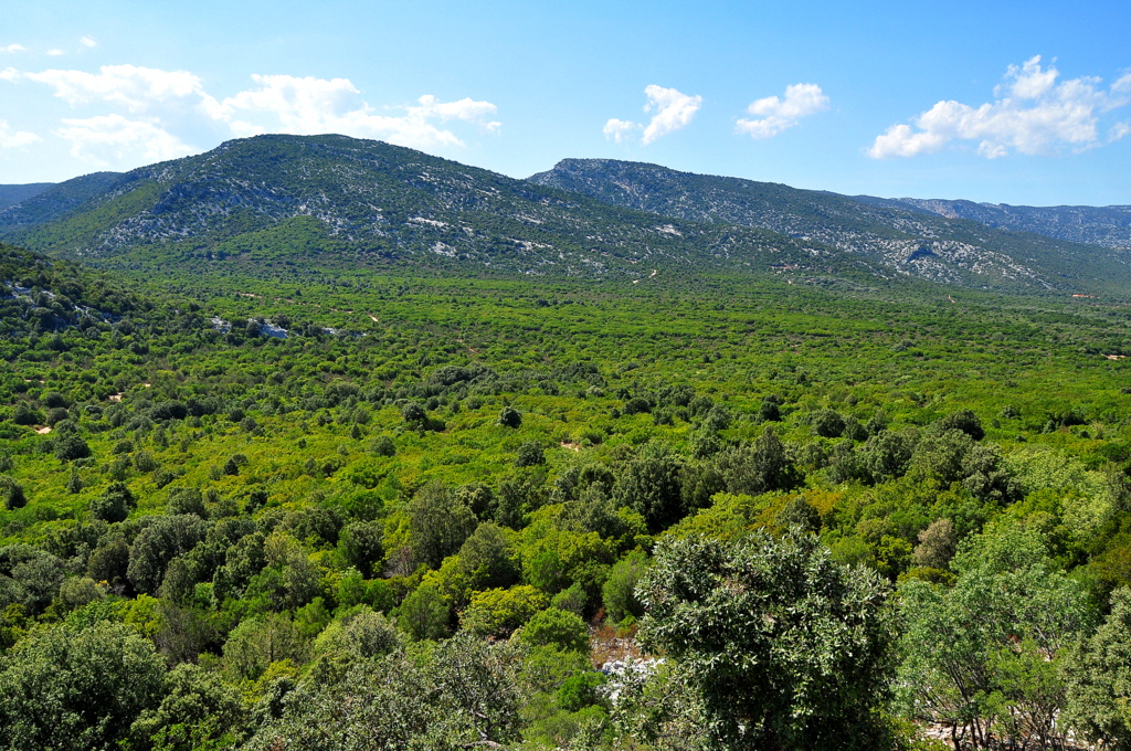 Wakacje2016 (978).JPG