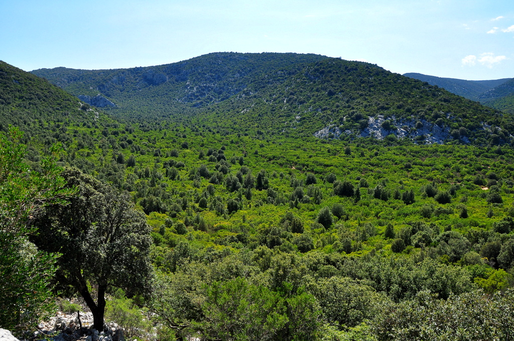 Wakacje2016 (979).JPG