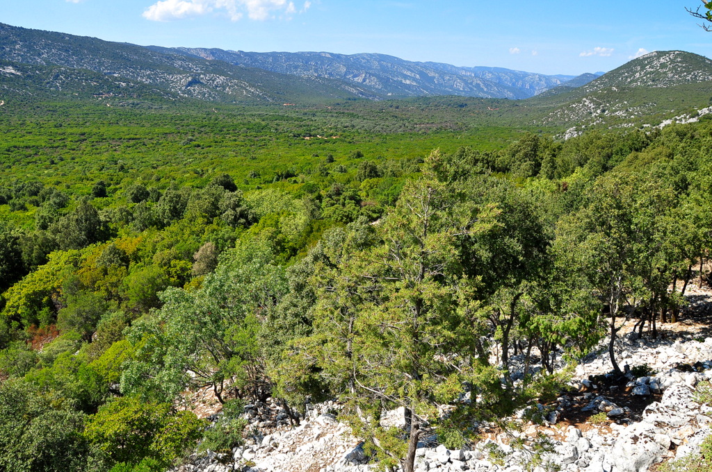 Wakacje2016 (981).JPG