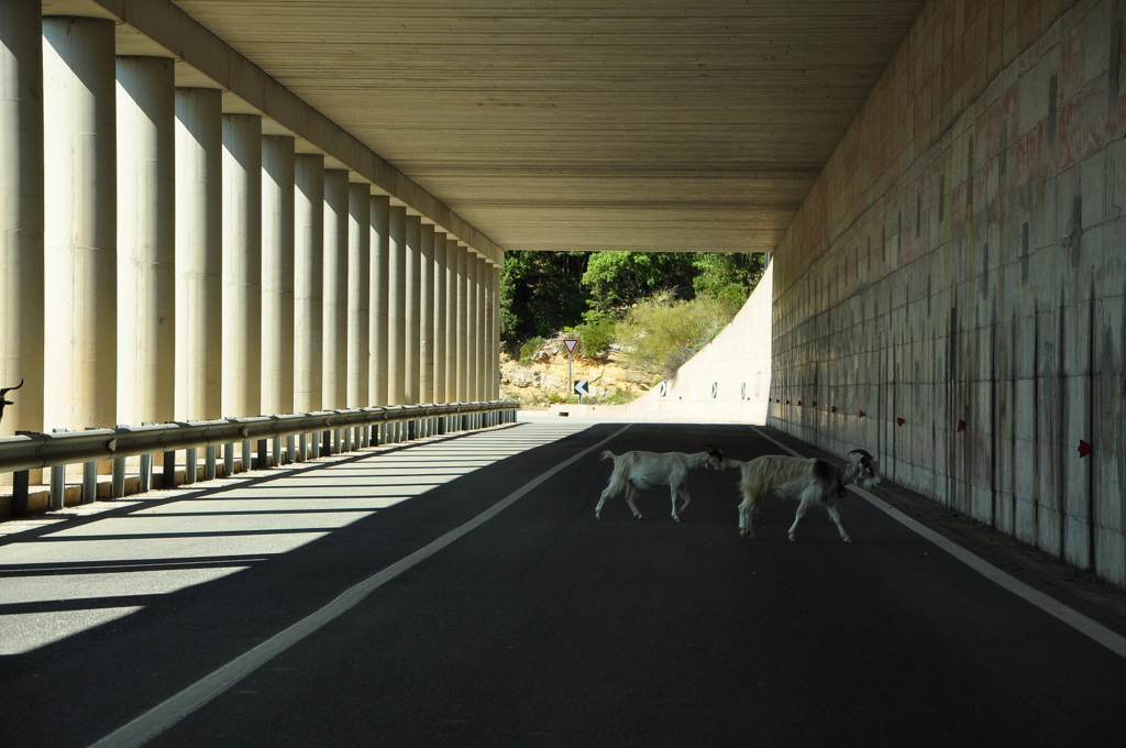 Wakacje2016 (1011).JPG