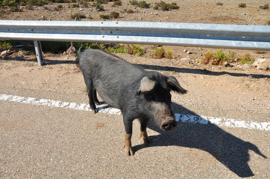 Wakacje2016 (1019).JPG