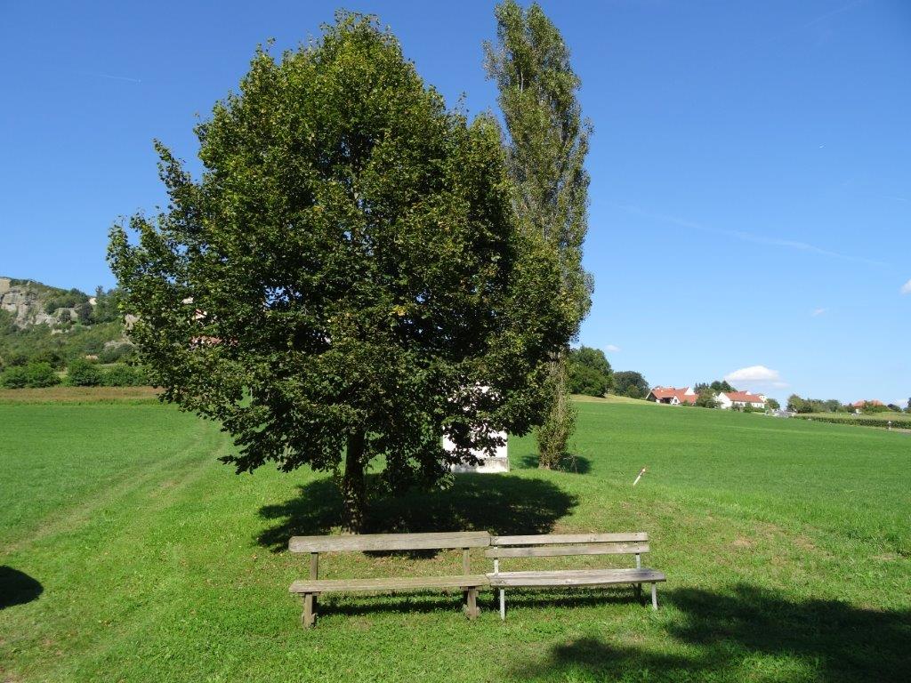 Chorwacja 2016 033.jpg