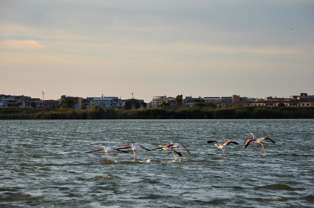 Wakacje2016 (1273).JPG