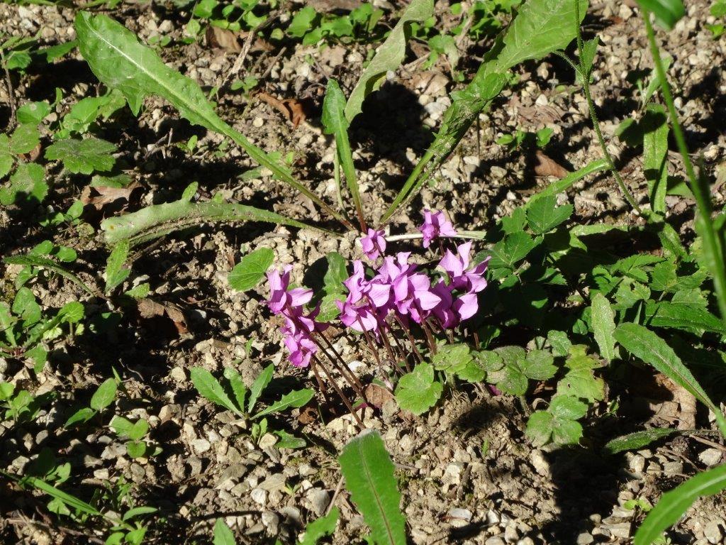 Chorwacja 2016 159.jpg