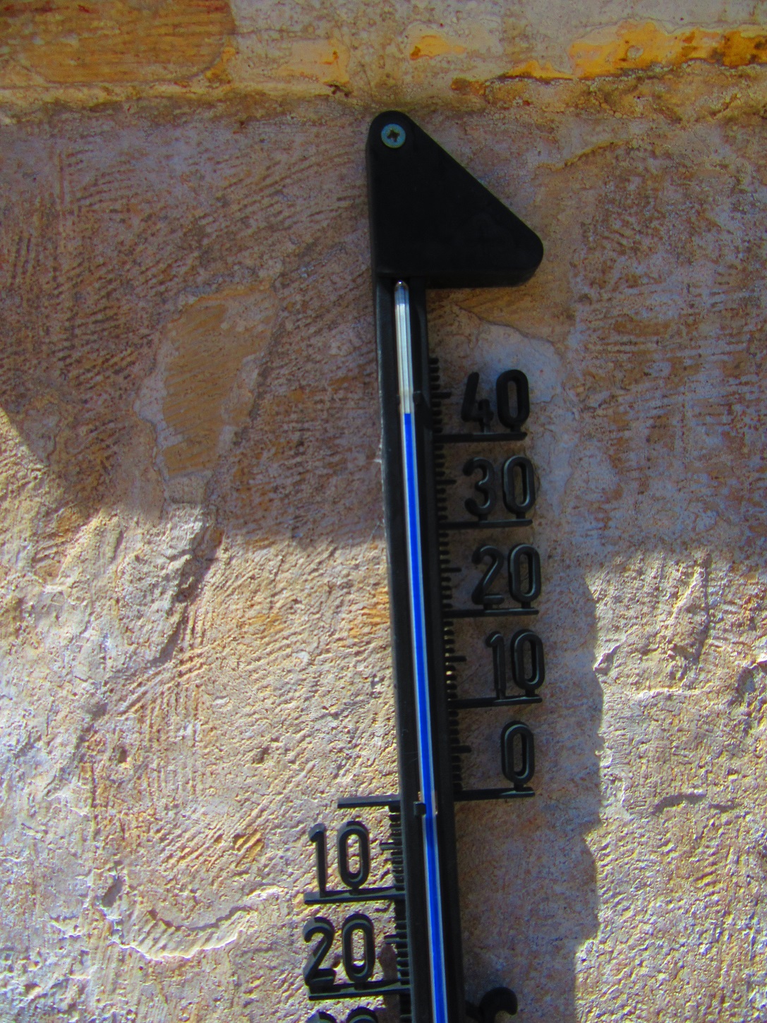 temperatura zabija.jpg