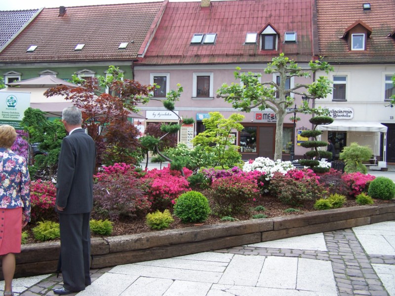 103_3253 [800x600].jpg