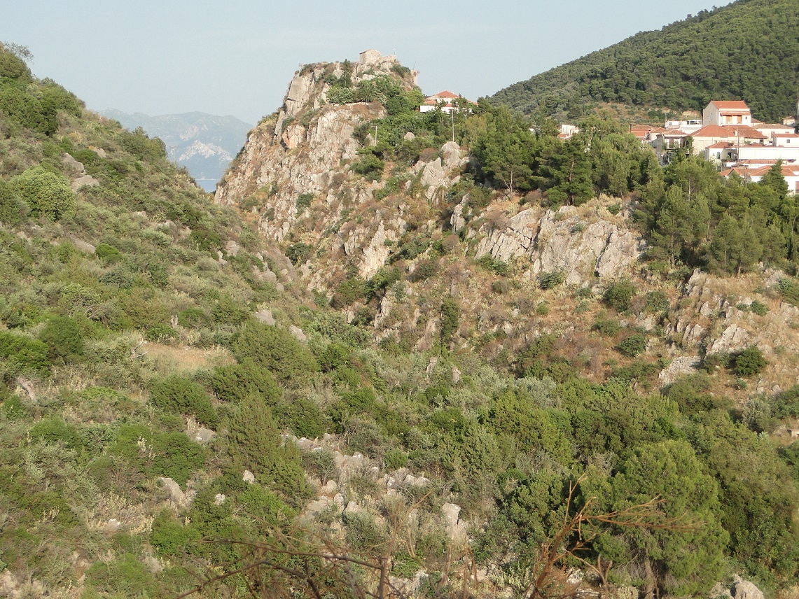 DSC01297.JPG DSC01297.JPG