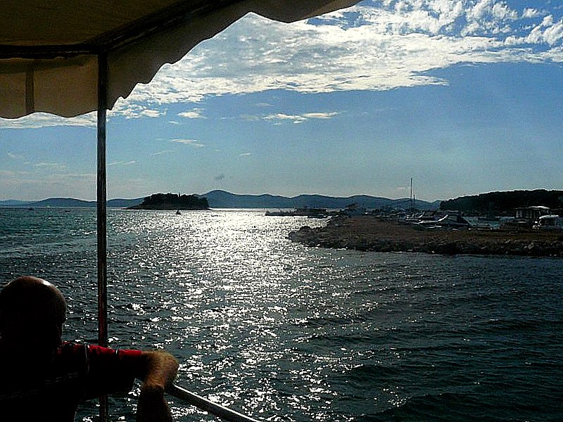 P1090071 [800x600].jpg