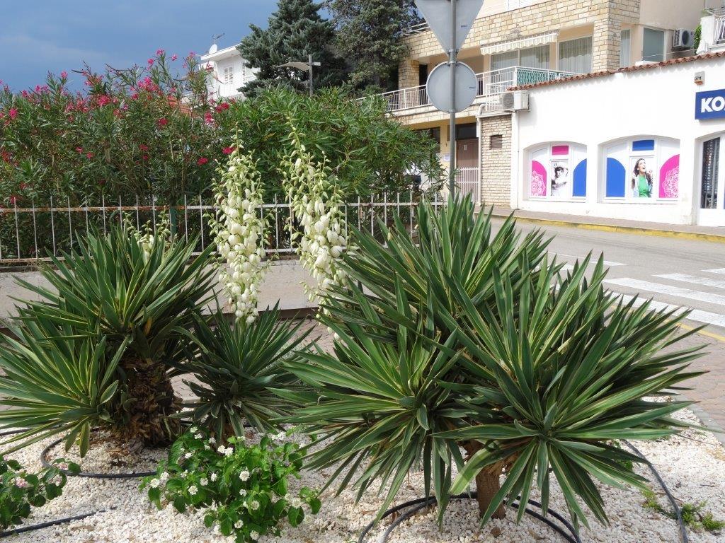 Rogoznica cz 6 145.jpg