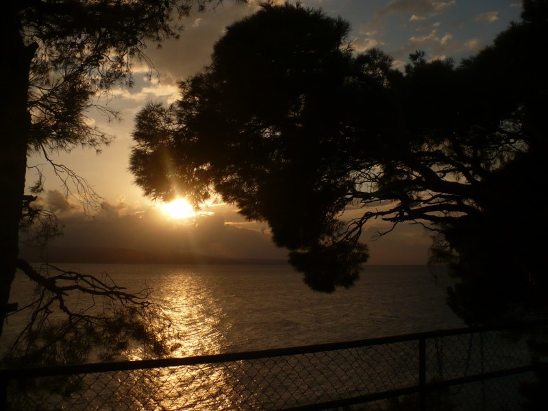 bratus 2012 (25) [800x600].JPG