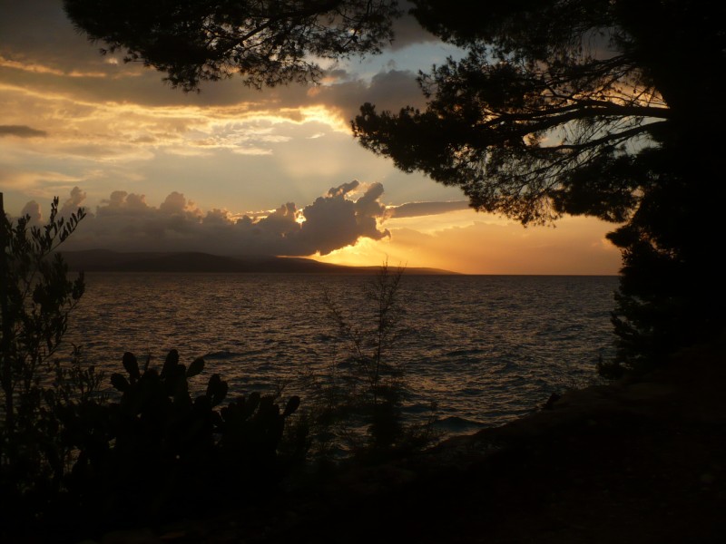 bratus 2012 (91) [800x600].JPG