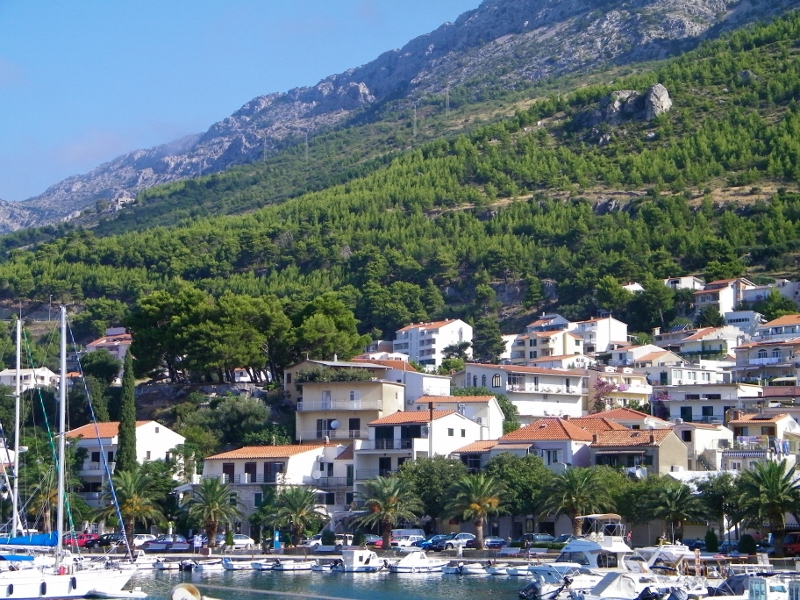 102_4419 (800x600).jpg