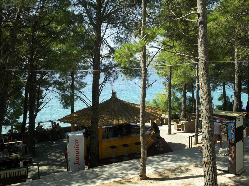 100_0464 (800x600).jpg