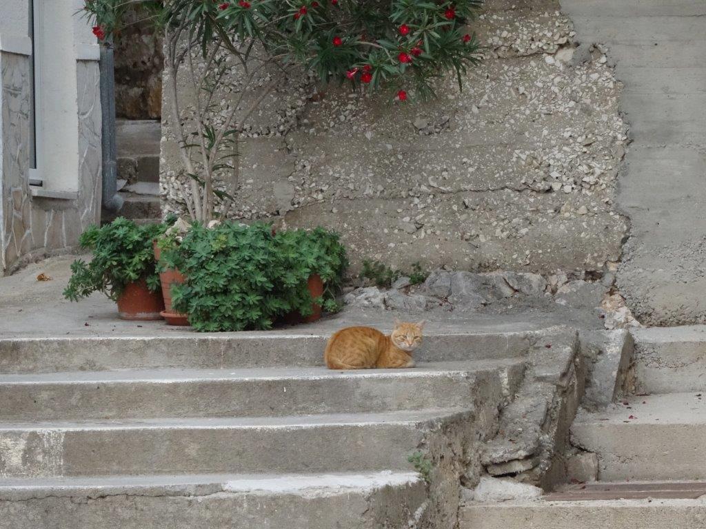 Rogoznica cz 8 020.jpg