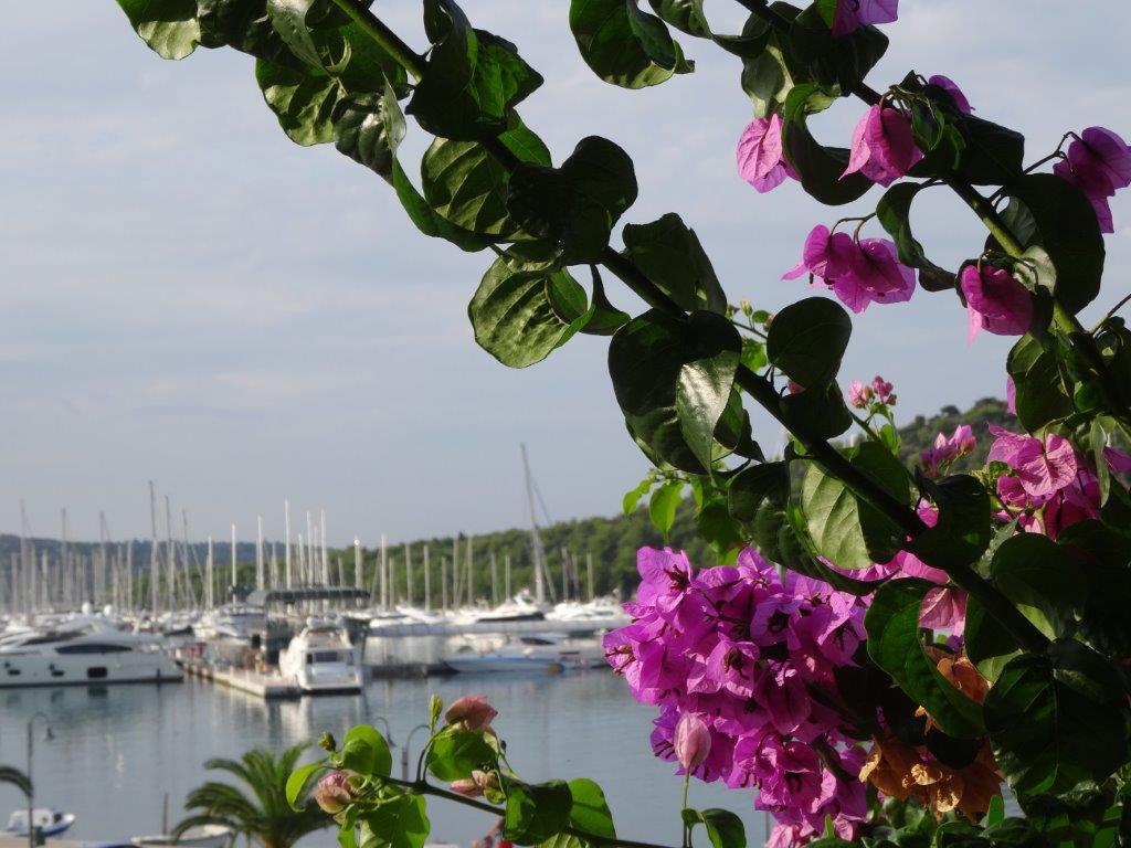 Rogoznica cz 9a 005 (5).jpg