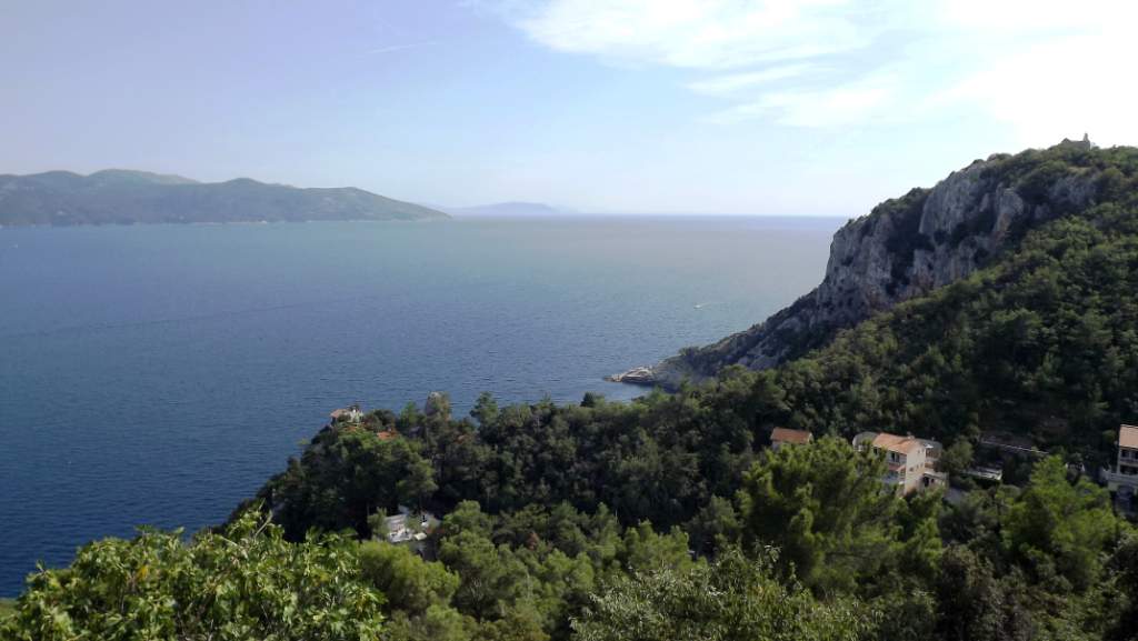 205 / DSCF8474.JPG DSCF8474.JPG