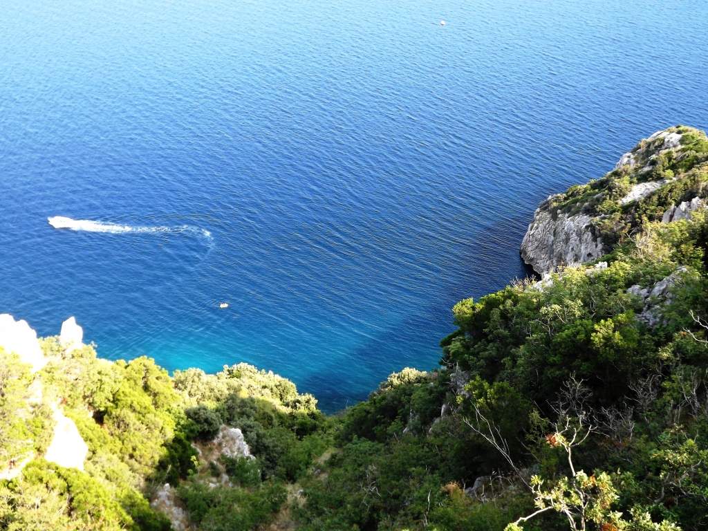 206 / DSCF8478.JPG DSCF8478.JPG