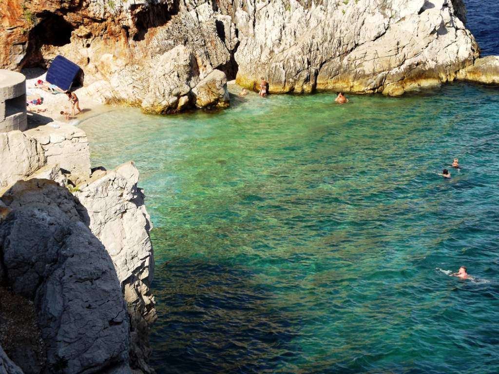 216 / DSCF8503.JPG DSCF8503.JPG